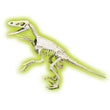 Załaduj obraz do przeglądarki galerii, Skamieniałości - Welociraptor