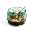 Załaduj obraz do przeglądarki galerii, Harry Potter - Terrarium
