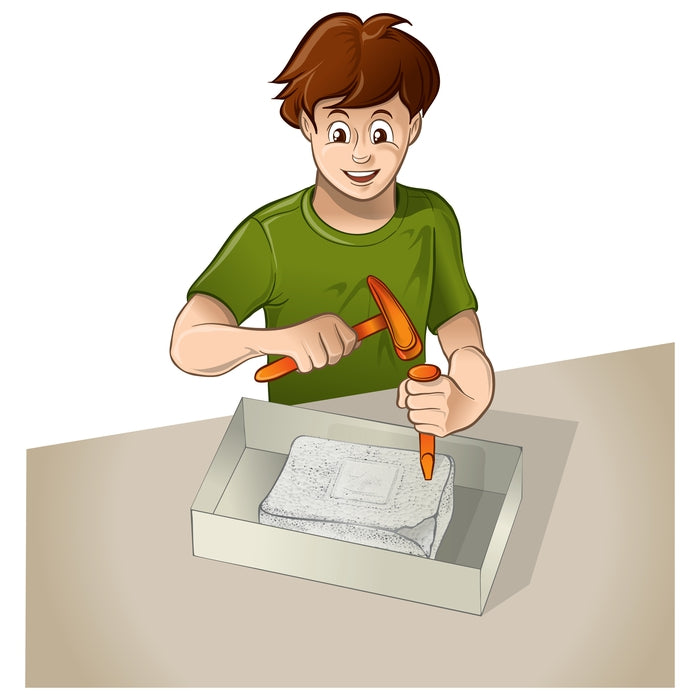 Skamieniałości Jurassic World