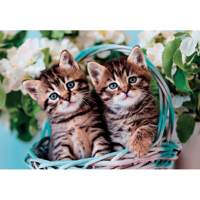 Lovely Kitty Twins - 60 elementów