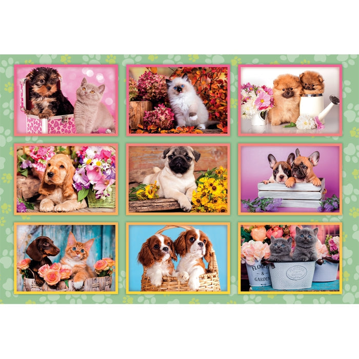 Puppies Collage - 180 elementów