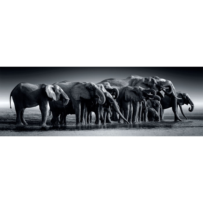 Herd Of Giants - 1000 elementów