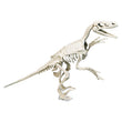 Załaduj obraz do przeglądarki galerii, Skamieniałości - Welociraptor
