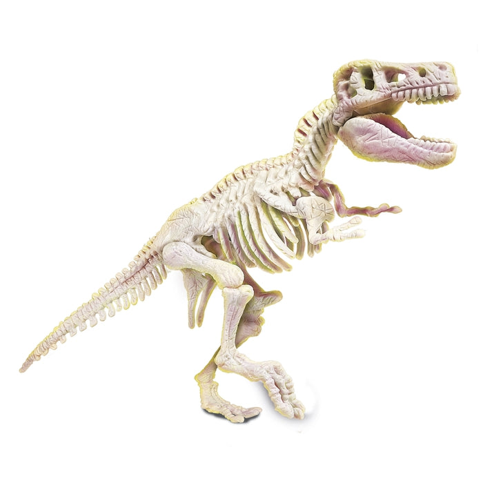 Skamieniałości - T-Rex