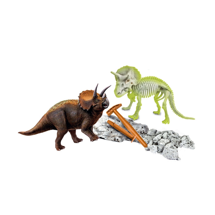 Skamieniałości - Triceratops