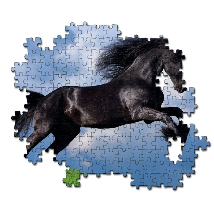 Fresian Black Horse - 500 elementów