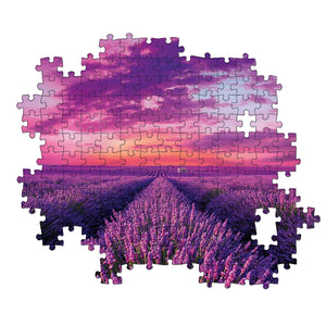 Lavender Field - 1000 elementów