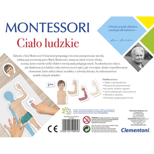 Montessori Ciało Ludzkie