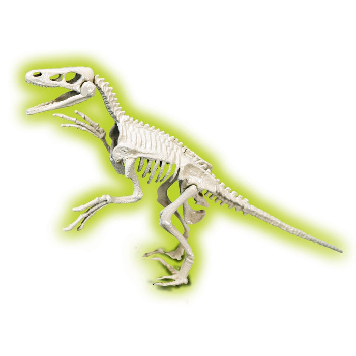 Skamieniałości - Welociraptor