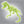 Załaduj obraz do przeglądarki galerii, Skamieniałości - T-Rex Fluorescencyjny
