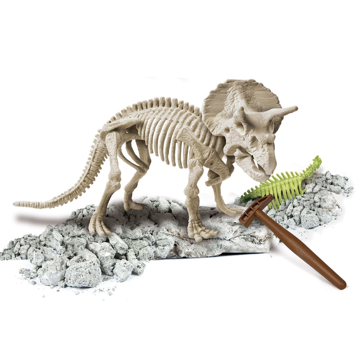 Skamieniałości - Triceratops Fluorescencyjny